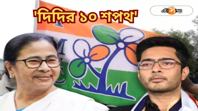 তৃণমূলের নির্বাচনী ইস্তেহারে দিদির শপথ, রইল কী কী চমক?