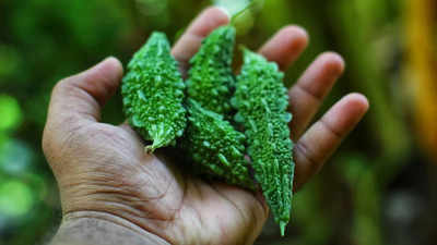 Health Benefits Of Karela: कड़वा है मगर फायदेमंद है करेला, खून करेगा साफ, कैंसर का खतरा भी होगा कम