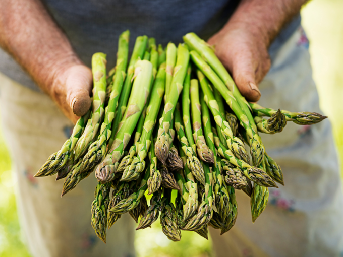 asparagus shatavari green vegetable