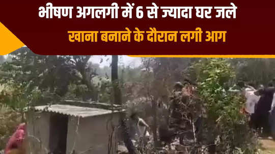 6 houses burnt down in massive fire in begusarai people burnt while extinguishing the fire