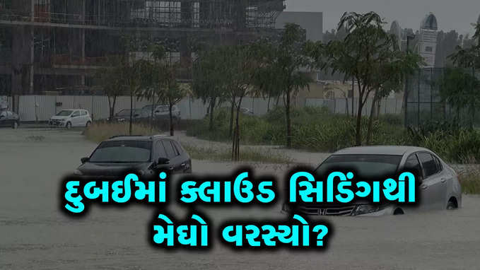 દુબઈમાં અભૂતપૂર્વ વરસાદનું કારણ ક્લાઉડ સિડિંગ કે બીજું કંઈ?