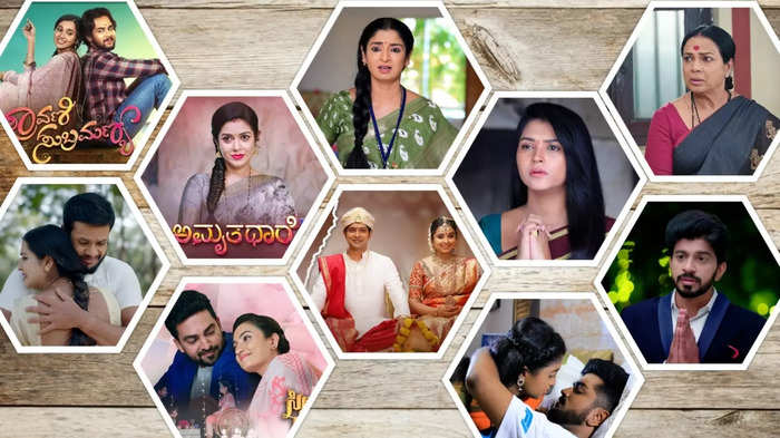 TV Serial TRP 2024: ಅಮೃತಧಾರೆ ಧಾರಾವಾಹಿಯನ್ನೇ ಹಿಂದಿಕ್ಕಿದ ಹೊಸ ಸೀರಿಯಲ್! ವೀಕ್ಷಣೆ ಕಮ್ಮಿ ಆಗಲು ಕಾರಣ ಏನು?​ 