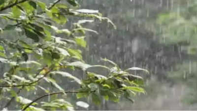 Rain in Karnataka - ಭದ್ರಾವತಿ, ಹೊಳೆಹೊನ್ನೂರು, ದಾವಣಗೆರೆ, ರಾಮನಗರದಲ್ಲಿ ಮಳೆಯ ಸಿಂಚನ