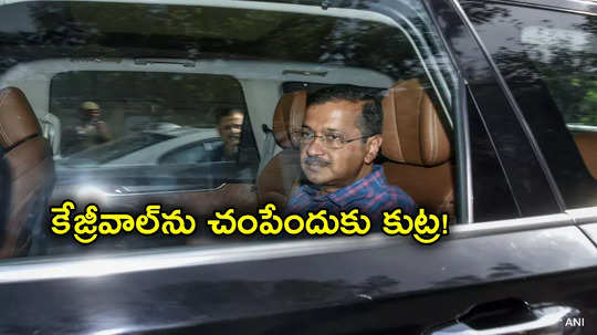 Delhi Liquor Case: తీహార్ జైలులో కేజ్రీవాల్‌ను హత్య చేసేందుకు కుట్ర.. ఆప్ సంచలన ఆరోపణలు 