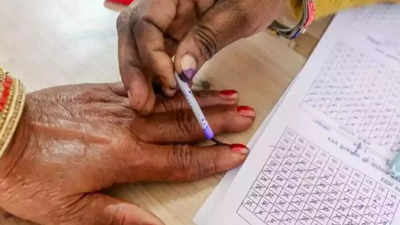 First Phase Voting: लोकसभा चुनाव का पहला चरण, वेस्ट यूपी की आठ सीटों पर वोटर चुनेंगे अपना सांसद