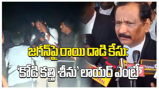 కోడి కత్తి శీను లాయర్ ఎంట్రీ.. రాయి తగిలితే పెద్ద గాయమే అవ్వాలిగా! 