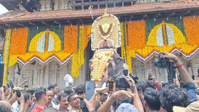 പൂരാവേശത്തിൽ തൃശൂർ; ശനിയാഴ്ച പുലർച്ചെ വെടിക്കെട്ട്, ഇന്നത്തെ ചടങ്ങുകൾ അറിയാം