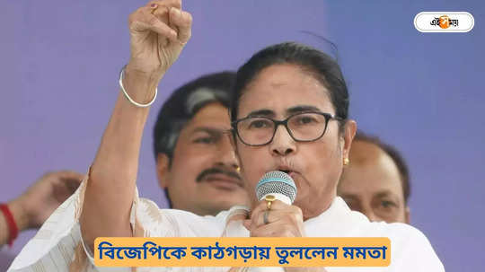 Mamata Banerjee : প্ল্যান করে অশান্তি! মমতার তিরে পদ্মই