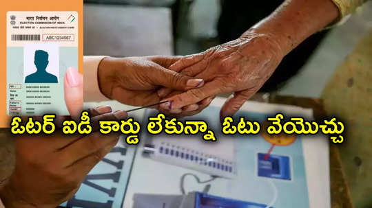 Voter ID card: ఎన్నికల్లో ఓటు వేసేవారికి గుడ్‌న్యూస్.. ఓటర్ ఐడీ కార్డు లేకున్నా ఓటు వేయొచ్చు.. ఎలాగో తెలుసా?