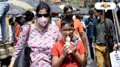 Heat Wave : দক্ষিণ পুড় ছিলই, এ বার দহন উত্তরে