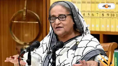 Sheikh Hasina : যত অপরাধ সবই বিএনপি করে, দাবি শেখ হাসিনার
