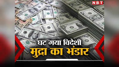 Foreign Exchange Reserve: अपने विदेशी मुद्रा भंडार में तगड़ी वाली गिरावट, पाकिस्तान के भी हालात ठीक नहीं