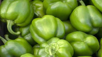 Benefits of Green Peppers: इन 5 बीमारियों की एक दवा है हरी शिमला मिर्च, आह से ही खाना शुरू कर दें