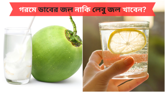 Coconut Water vs  Lemon Water: ৪০ ডিগ্রি গরমে সুস্থ থাকতে ডাবের জল খাবেন নাকি লেবু জল? পুষ্টিবিদের পরামর্শ শুনলেই পাবেন সুফল