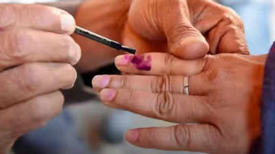 राजस्थान: उंगली पर मतदान की स्याही दिखाओ, 5 से 30 फीसदी का डिस्काउंट पाओ, यहां जानिए ऑफर की पूरी डिटेल