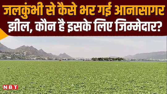 ground report ajmer anasagar lake in trouble water hyacinth takes over