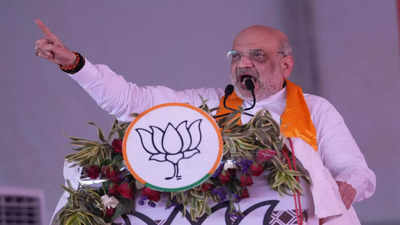 शहजादों की जोड़ी एक बार फिर साथ तो भाजपा जीतेगी ज्यादा सीटें, मथुरा में हेमा मालिनी के लिए अमित शाह ने मांगे वोट