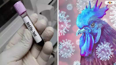 Bird Flu: দেশে ফের বার্ড ফ্লু সংক্রমণ ছড়ানোর আশঙ্কা, কেরালায় আক্রান্তের হদিশ মেলায় আতঙ্ক