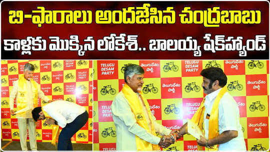 tdp chief chandrababu gave b forms to tdp mla candidates to contest for ap elections 2024