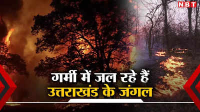 तड़प रहे उत्तराखंड के जंगल, गर्मी बढ़ते ही धधकने लगी आग, एक साल में 300 गुना बढ़ीं घटनाएं