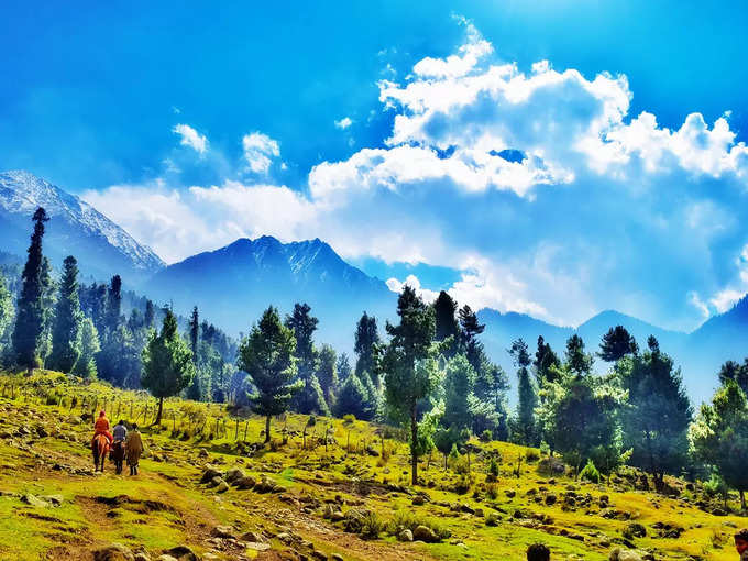 गुलमर्ग, पहलगाम, सोनमर्ग और श्रीनगर टूर