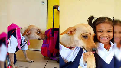 Dog In School Uniform: अम्मा ने बच्ची के साथ डॉगी को भी किया स्कूल के लिए तैयार, वीडियो देखकर लोगों का दिल पिघल गया!