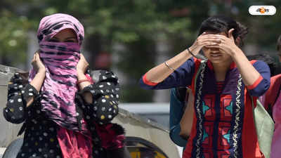 তাপপ্রবাহে পুড়ছে ভারত, ২০২৪-এ রেকর্ড ভাঙা গরমের ভবিষ্যদ্বাণী বিজ্ঞানীদের