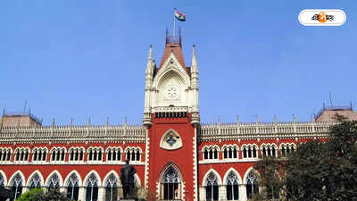 Calcutta High Court News : ‘মুখ্যসচিব অপরাধের গুরুত্ব বুঝতে ব্যর্থ’, শিক্ষা দুর্নীতির মামলায় মন্তব্য হাইকোর্টের
