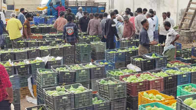 கோவை பழ மார்கெட்டில் மாங்காய் வரத்து குறைவு-விலை அதிகரிப்பு!