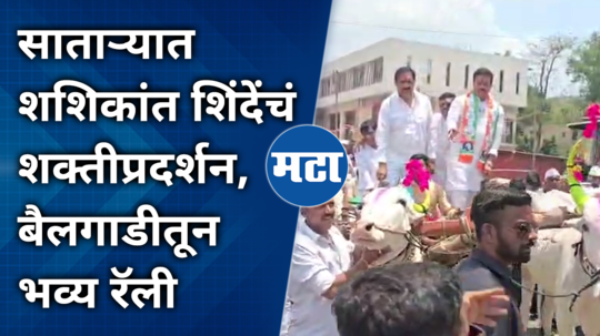 satara lok sabha shashikant shindes grand rally in a traditional bullock cart attended by jayant patil