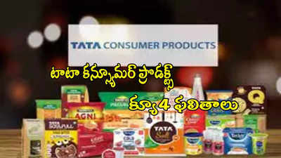 Tata Company: టాటా కంపెనీకి రూ.267 కోట్ల లాభం.. ఒక్కో షేరుకు రూ.7.75 డివిడెండ్ ప్రకటన
