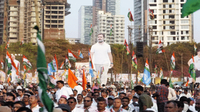 मुंबई की बिसात में फंसे दिग्गज, मिलिंद देवड़ा, वर्षा गायकवाड लड़ेंगे लोकसभा चुनाव!
