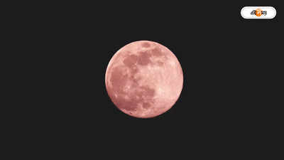 Pink Moon : আকাশে দেখা যাবে আস্ত গোলাপি চাঁদ! কখন, কোথা থেকে সাক্ষী হবেন বিরলতম দৃশ্যর?