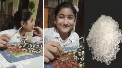 चॉकलेट केक की मिठास ने ली पंजाब में बच्ची की जान, जानें क्या होता है सैकरीन और कितना खतरनाक