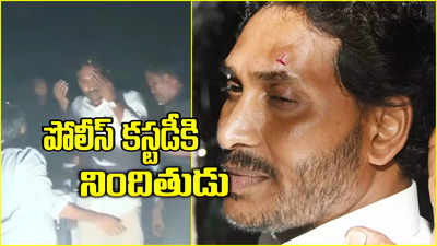 వైఎస్ జగన్‌పై రాళ్ల దాడి కేసులో పోలీస్ కస్టడీకి నిందితుడు.. కోర్టు కీలక ఆదేశాలు