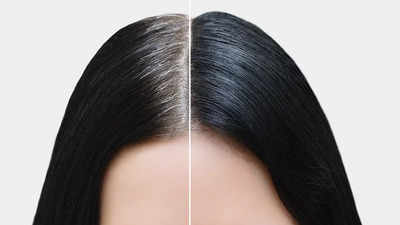 Darken Gray Hair: রং না করলেও পাকা চুল কালো হবে কয়েক মিনিটেই! শিখে রাখুন সেসব বিশেষ ট্রিক