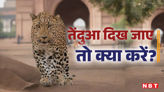क्या करें जब आपके इलाके में दिखे तेंदुआ, दिल्ली वन विभाग जारी करेगा SOP