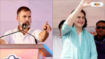 Lok Sabha Election: অমেঠিতে প্রার্থী রাহুলই? মনোনয়নের আগে বোন প্রিয়াঙ্কার সঙ্গে অযোধ্যায় রামলালা দর্শনের সম্ভাবনা