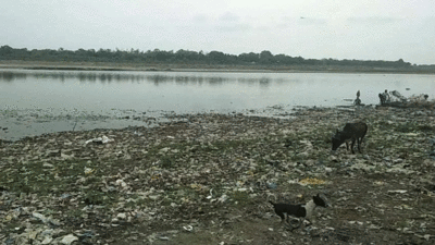 यमुना में सीवर का गंदा पानी छोड़ने पर NGT का तगड़ा ऐक्शन, नगर निगम पर लगाया 58.39 करोड़ का जुर्माना