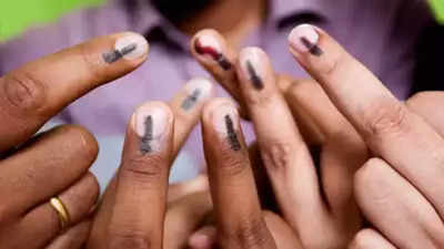 Lok Sabha Elections 2024: लोकसभा निवडणुकीत दुसऱ्या टप्प्याचे आज मतदान, १२ राज्यात १,१९८ उमेदवार रिंगणात