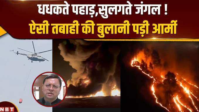 Fire In Uttarakhand- देवभूमि में धधक रहे जंगल और पहाड़,हाईकोर्ट कॉलोनी तक पहुंची लपटें, बुलानी पड़ी सेना 