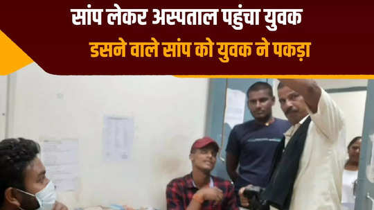 nalanda bihar reached the doctor with a snake in his hand chaos broke out in the hospital know the whole matter