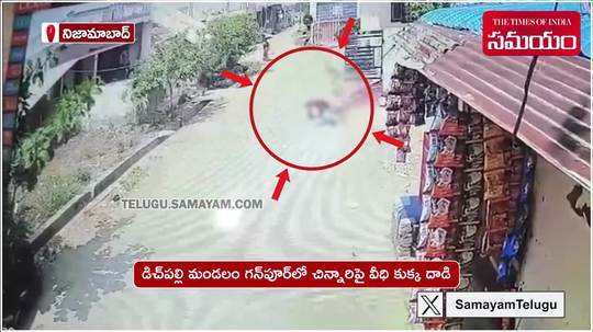 stray dog attacked on girl in dichpally in nizamabad cctv video