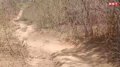 नवादा लोकसभा ग्राउंड रिपोर्ट: दनियां गांव में पक्की सड़क मुद्दा, पगडंडियों से सहारे कौआकोल पहुंचते हैं ग्रामीण