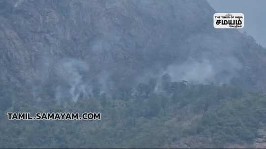 forest fire in theni western ghats