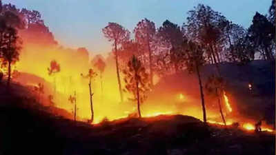 उत्तराखंड के जंगलों में लगी आग दूसरे दिन भी धधकती रही, पांच लोग गिरफ्तार
