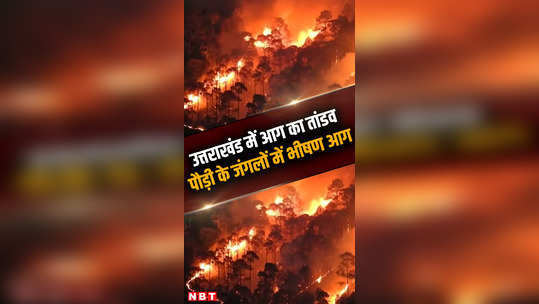 how the fire in pauri forests was brought under control watch video