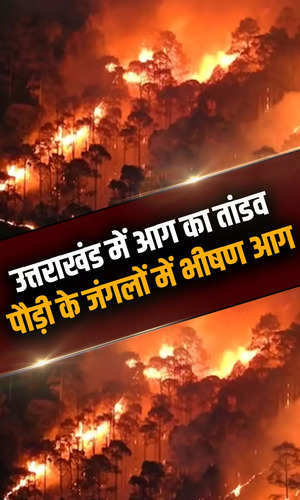 how the fire in pauri forests was brought under control watch video