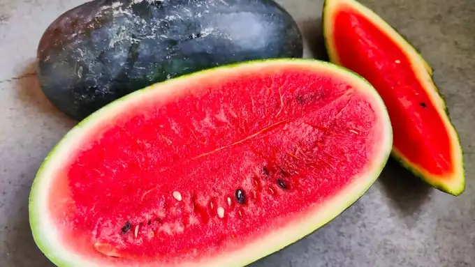 असली तरबूज की ऐसे करें पहचान