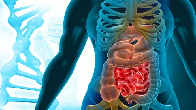 फूड पॉइजनिंग दे सकता है लाल तरबूज 